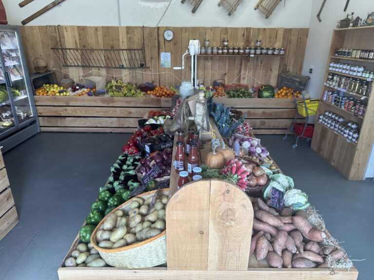 Vue d’ensemble du magasin Terroir Labadie et de sa sélection de produits